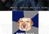 Dog you so silly!
