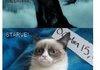 grumpy cat