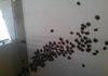 Great,