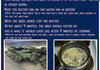 info 9