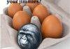 Scrambled Jimmies