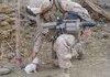 Soldier puppy