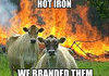 Hot Justice