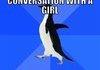 socially awkward penguin