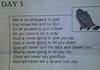 GOD Troll
