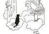 <b>Cat</b>