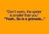 Spider