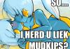 So I herd u liek mudkipz.