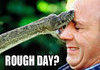 Rough Day?