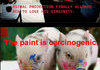 TROLLED PICS