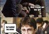 Oh Harry. . .
