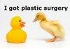 ducks