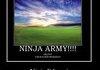 Ninja 2