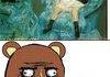Pedo Bear