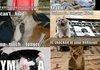 compilation