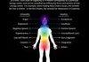 chakras