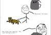 <b>Comp</b> of Jokes!!!