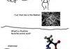 Jokes I came up with while re taking HS