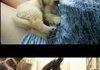 So much awww