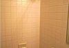 Gyarados Shower