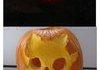 halo pumkins three