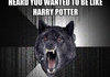 insanity wolf mega comp
