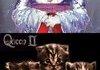 Kitten Music Edit