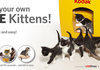 Kodak's Printing Kittens