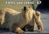 look at the cuteness