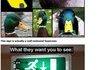 Cant Be Unseen