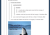 Whale Jokes