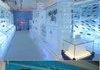 Frozen Aquarium in Japan