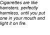 Hamsters. . . . Harmless?