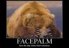 Bear Facepalm