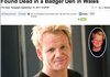 Best headline ever?!