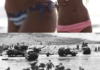 visit the beach togehter.