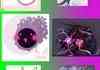 which is better