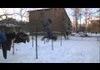 Acrobatic trick fail