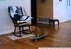 cats learn skatboar