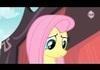 Clip From "Putting Your Hoof Down"