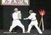 Japanese shadow karate