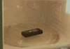 Cell Phone In Microwave