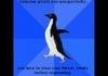Socially Awkward Pinguin Compilation