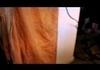 water sound illusion