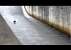Water slide stunts