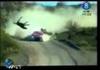 Roadkill