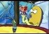 SQUIDWARRRRD