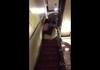 Sorority Girl Takes a Tumble
