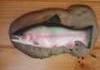 Possessed fish