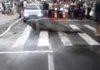 Sea Lion Uses Crosswalk in Brazil